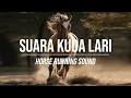 Download Lagu Suara Seekor Kuda Lari | Horse Running Sound
