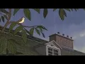 Download Lagu Orange - 7!! ( slowed, rain )