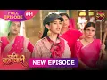 Download Lagu Pati Brahmachari | Full Episode 91 | 1Sept 2025 | Full HD #Newepisode | Dangal TV