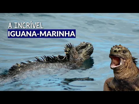 Video de YouTube