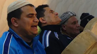 قصيدة الغزالة دندنها