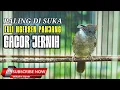 Download Lagu KAPAS TEMBAK GACOR FULL NGEBREN PANJANG JERNIH MANTUL