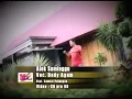 Alek saminggu...dedy agam