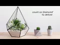 Brand Story Diamond Cabinets