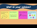2nd Grade Opinion Writing
