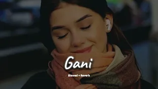 Download Gani (slowed + reverb)- Akhil | new Punjabi song 2024 | KL Lofi MP3