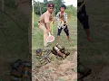 Download Lagu Tiktok comedy video #funny #comedy #tiktok #shorts #viral