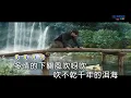 Download Lagu Wei xin yu-zui mei de qing yuan