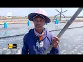 Lagu Keluh Kesah Petani Garam di Tengah Harga Garam Merosot