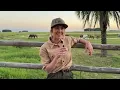 Amber Marshall s Unforgettable Ride in Corrientes Argentina Globetrotting with the Stars