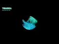 Hold On Let Go - Tom Rowlands, TOMORA & AURORA