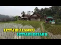 Download Lagu Lestari Alamku..Lestari Desaku..Hawa Sejuk Kampung Nyalindung Cigalontang. Air Mengalir Sampai Jauh