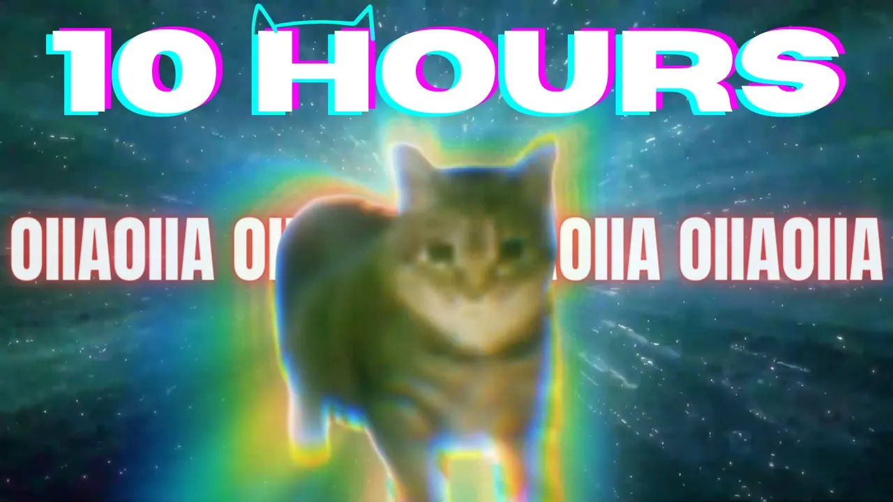OIIA OIIA CAT 10 HOURS OIIA OIIA CAT 10 HOURS