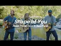 Download Lagu Shape of You - Music Travel Love ft. Jada Facer (Lyric)