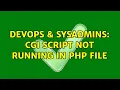 DevOps SysAdmins CGI Script not running in PHP file