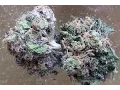 Classic Purps by Abatin Wellness