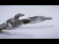 Max Cooper - Stream of Thought - Official video by Optical Arts