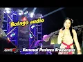 Download Lagu Pasukan kebaya bofago audio karnaval peniwen