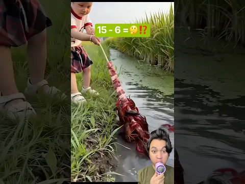 DAPAT UDANG YANG BANYAK #ngeshortsdulu