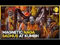 Maha Kumbh Mela 2025: Naga Sadhus' Grand Entry At World's Biggest Gathering | WION EXCLUSIVE