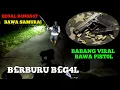 Lagu B£RBURU BEG4L BAWA PlST0L || BABANG VIRAL  🅱️ UN✅ H BEG4L MASUK PENJ4RA ⁉️