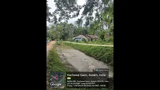                     دندنها
