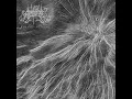 Download Lagu LUX ABSENTIA Worship Nothing (full album) official