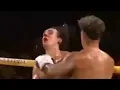 Austin Mcbroom KNOCKOUT PUNCH vs Bryce Hall