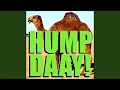 Geico Camel Hump Day Alert Tone