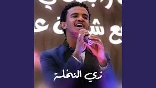 زي النخلة بيانو 