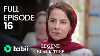 Legend of the Black Tree | Full Episode 16