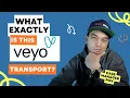 What is VEYO Transport Nurse Ninja Case Management POV