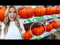 Download Lagu Grab a Dollar Tree Pumpkin for this DIY