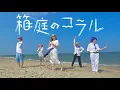 Download Lagu 【Solstice Sekai】 'Coral in the Box' (箱庭のコラル) Wonderlands x Showtime [プロセカ踊ってみた] MP3