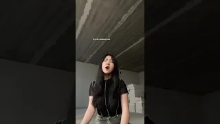 Who Asked For Shameless Coversong Covers Singing Youtubeshorts 