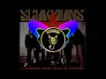 Download Lagu Wind of Change (Techno Remix) - Scorpions