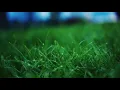 Productivity Study Work Background Instrumental Music / String Quartet