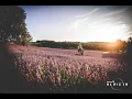 Download Lagu Be Massive Horizon party - Köröshegyi Levendulás  Metha dj set x after video