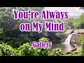 Download Lagu You're Always On My Mind by Gallery (LYRICS)
