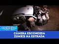 Download Lagu Zumbis na Estrada - Zombies Prank | Câmeras Escondidas (31/11/23)