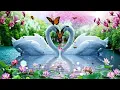 Download Lagu 🎸🎶🎵🌟 Sail Over Seven Seas ~ Gina T 🎸🎶🎵🌟(🎸 guitar cover by Dave Monk 🎸 instrumental 🎸)🌟🎸🎵🎶