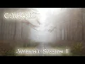 Download Lagu Cackris - Ambient Session II