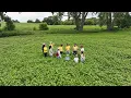 Adapting to Extreme Rains and Drought at A-Frame Farm in Madison Minnesota