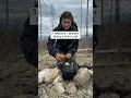 How to start a campfire in rain You need a ferro rod