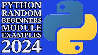Master Python s Random Module Practical Examples for Beginners 2024
