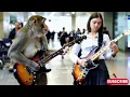 Download Lagu Viral Monyet Main Gitar di Bandara Russia | Viral Wajib Nonton