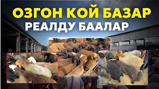 Озгон Кой базары 🔥🔥🔥
