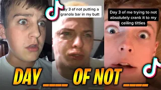 day 100 of not tiktok challenge meg u0026 dia monster tiktok trend