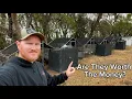 Our Breeder Chicken Pen Setup