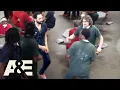 60 Days In The Cookie Fight A E